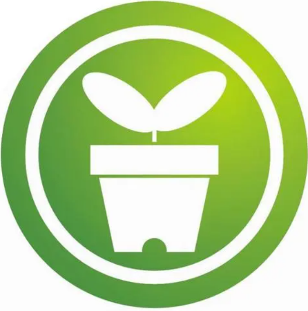 分类图片 种子类